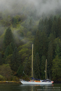 GREAT BEAR RAINFOREST - COASTAL BRITISH COLUMBIA